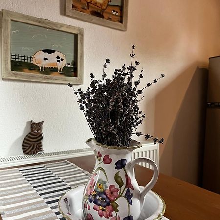 Olympus Country House Karia  Bagian luar foto
