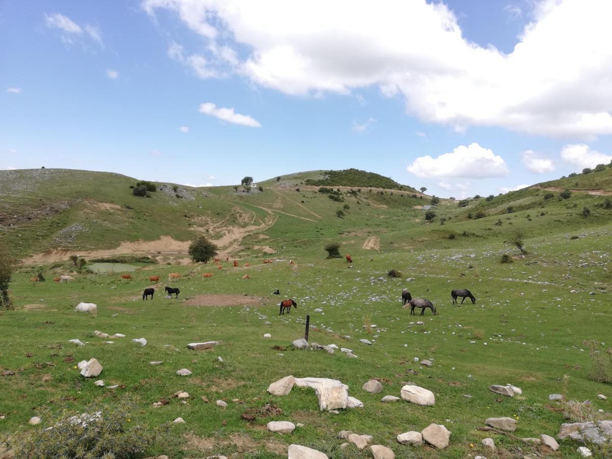 Olympus Country House Karia  Bagian luar foto