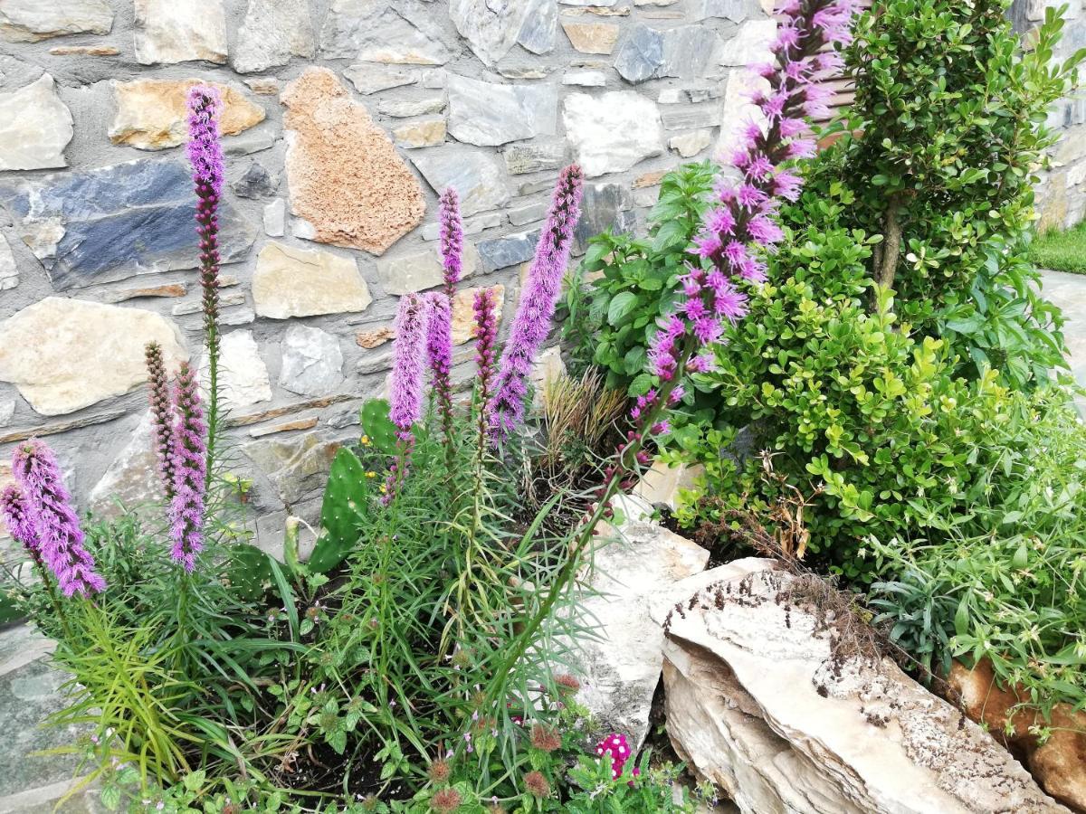 Olympus Country House Karia  Bagian luar foto